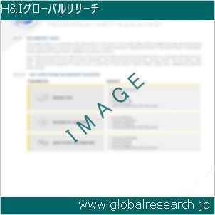 グローバルリサーチ調査レポートのイメージ
